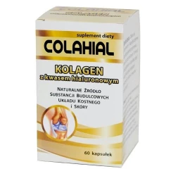 Import produktów XML malowia.pl